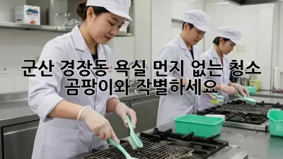 군산 경장동 욕실 먼지 없는 청소, 곰팡이와 작별하세요!
