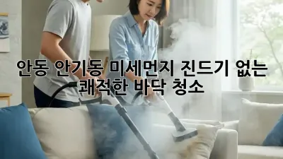 안동 안기동 미세먼지, 진드기 없는 쾌적한 바닥 청소